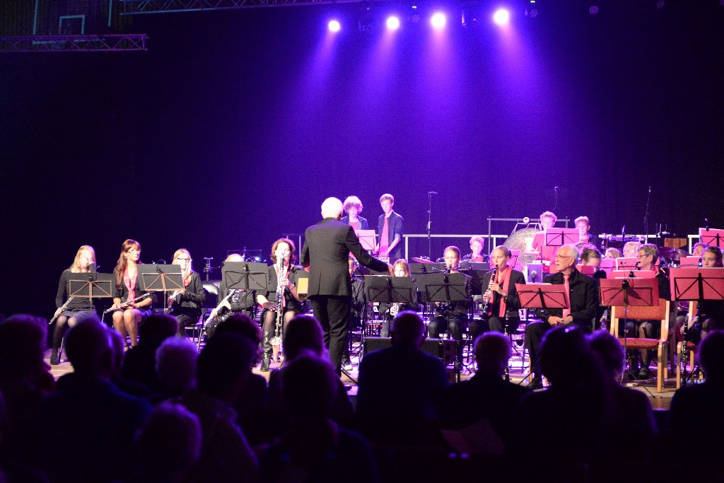 ../Images/Jubileumconcert 100 jaar Harpe Davids 117.jpg